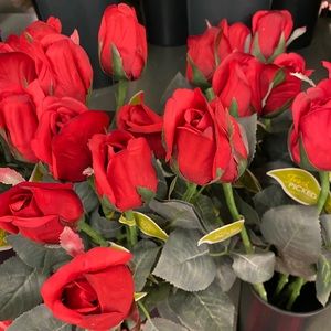 Meet your Posher, Caitlyn